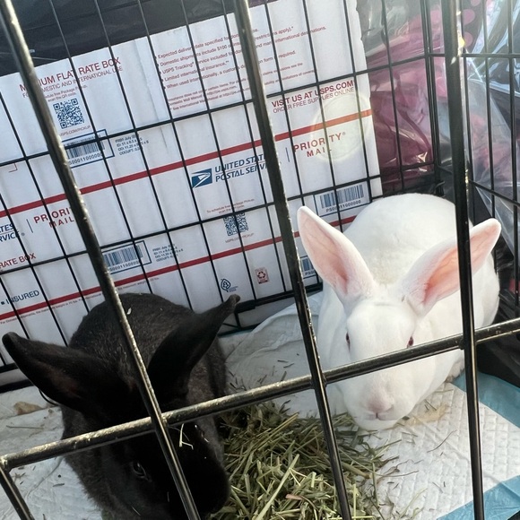 Live Listing - Picture 16 of 16